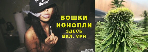 МДПВ Богданович