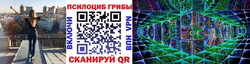 даркнет как зайти Мышкин Псилоцибиновые грибы Psilocybine cubensis